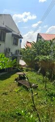 Nanyang Park (D19), Terrace #439984101